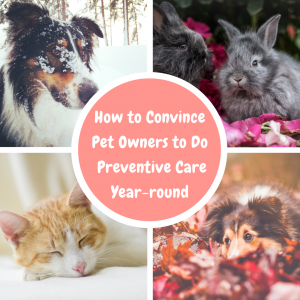 collage of pets for encouraging preventive care