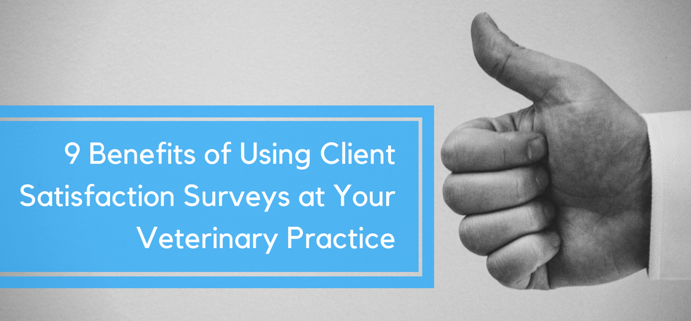 9 Benefits of Using Client Satisfaction Surveys at Your Veterinary Practice