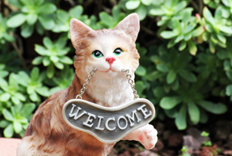How to Make Your Veterinary Website More Inviting