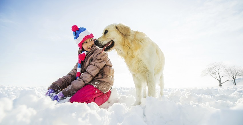 Playful girl with her dog enjoying in snow.