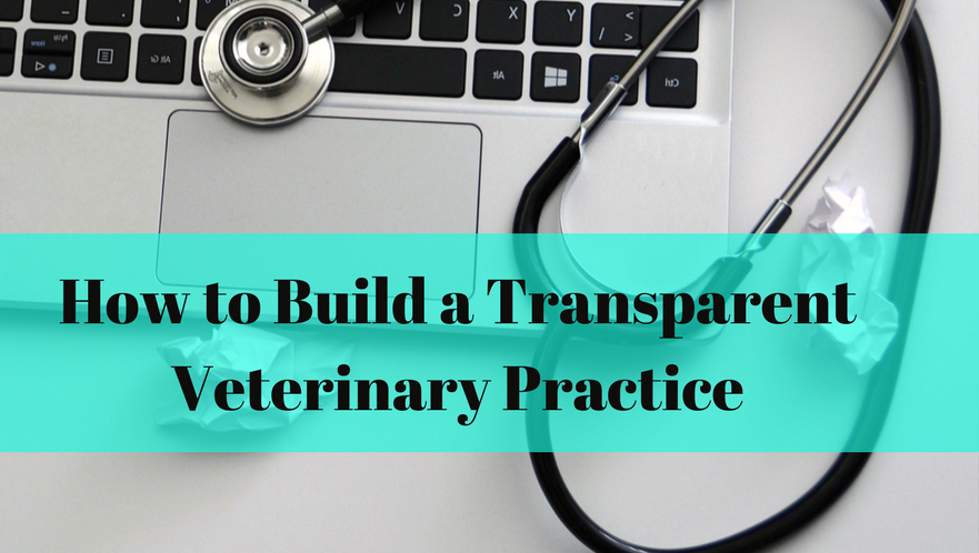 How to Build a Transparent Veterinary Practice