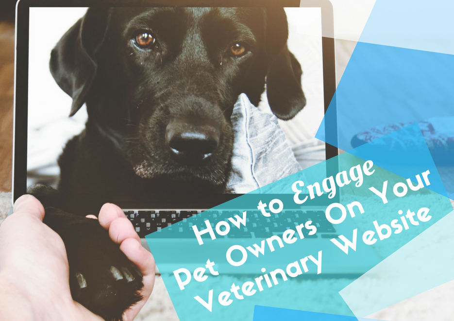 How to Keep Pet Owners Engaged on Your Website