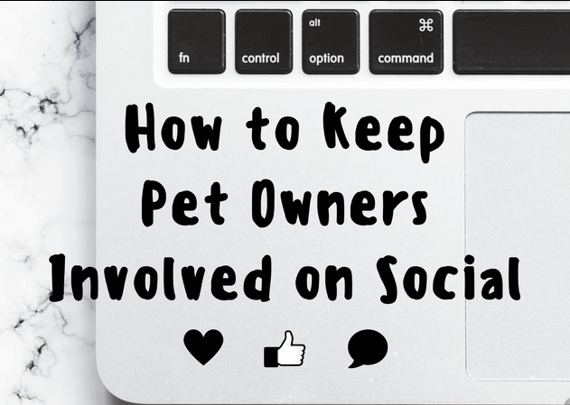 How to Keep Pet Owners Involved on Social Media