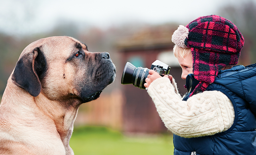 See the Big Picture: How to Use Images on Your Veterinary Website