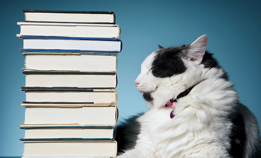 Veterinary Content 101: What’s in a Word?