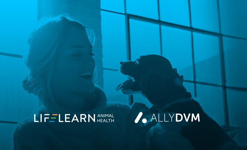 LifeLearn and ALLYDVM Partner to Power Veterinary Practice Growth