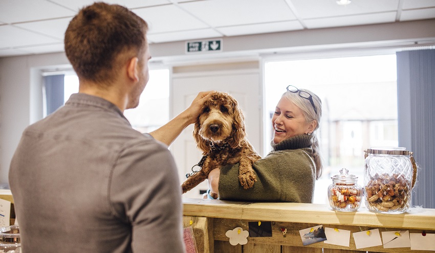 Woman is holding her dog at the reception counter of the grooming salon. She is booking her dog in to be groomed. There is a man working on reception and he is stroking the dog.