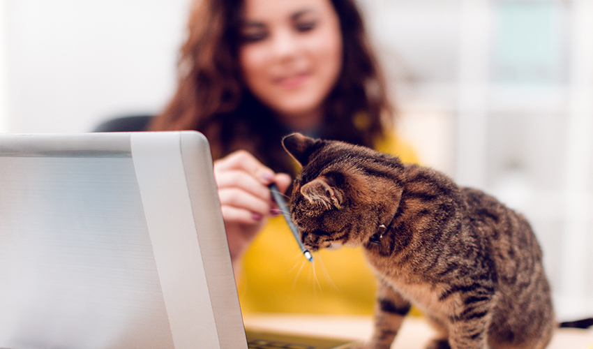 Woman with Cat