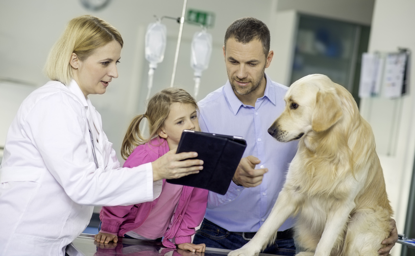 Educate Youths on Pet Care