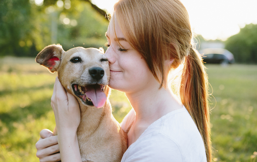 Introducing Get Your Pet: An Exciting New Approach to Pet Adoption and Rehoming