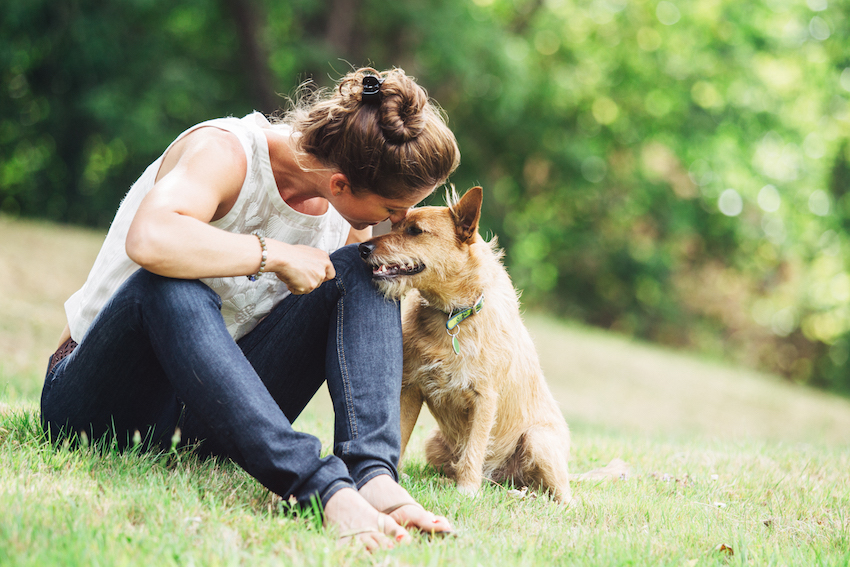 6 Types of Educational Social Media Posts for Flea and Tick Season