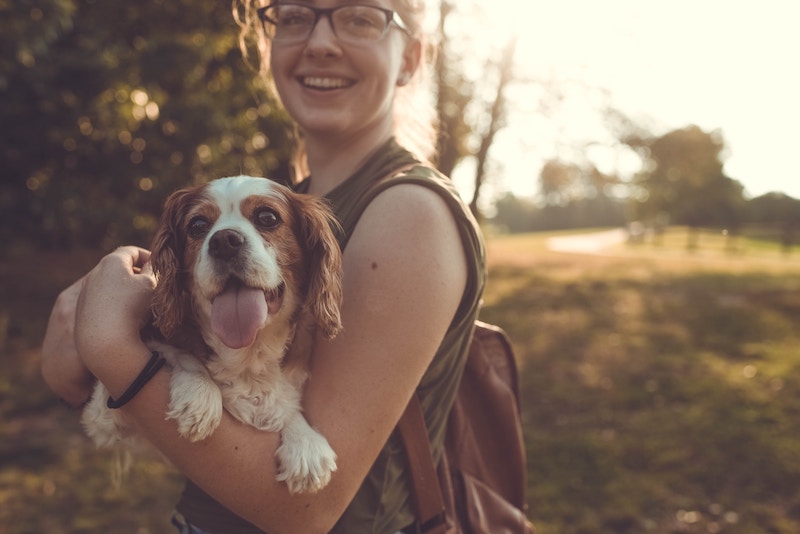 5 Ways to Prepare Pet Owners for the Unexpected