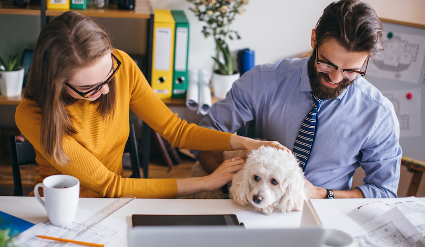 8 Advantages of a Dog-friendly Workplace