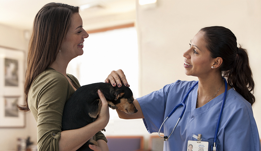 How to Improve Veterinary-Client Communication at Your Practice