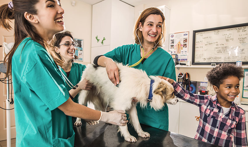 National Veterinary Technician Week