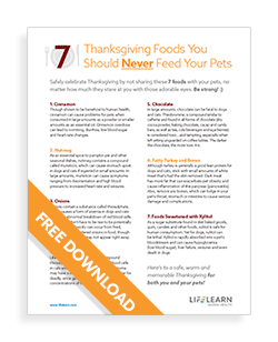 7 Thanksgiving Foods You Should Never Feed Your Pets PDF