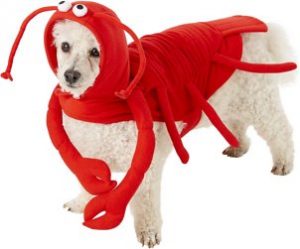 Lobster dog