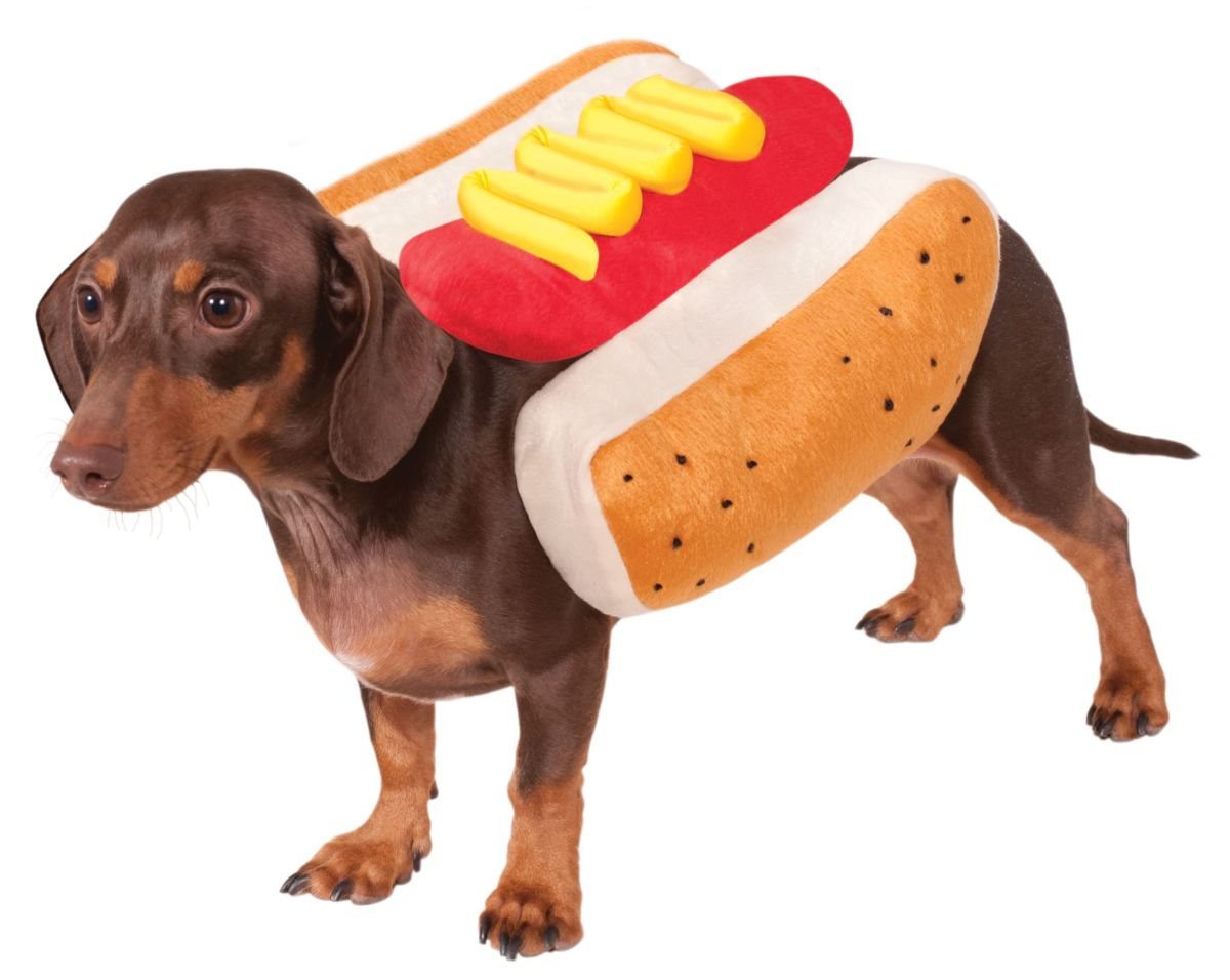 hot dog outfit for sausage dogs