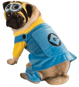 minion dog