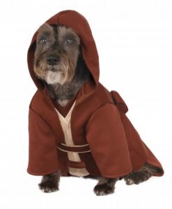 obi-wan dog