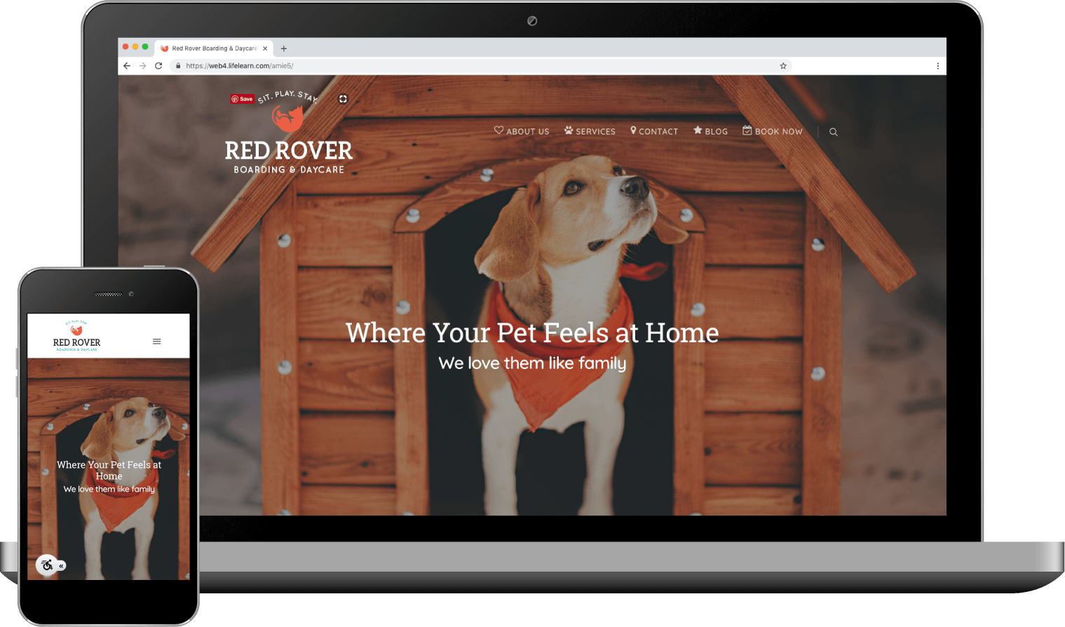 Custom Websites for Pet Services