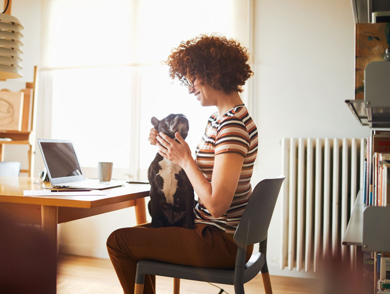 Dog Person Computer