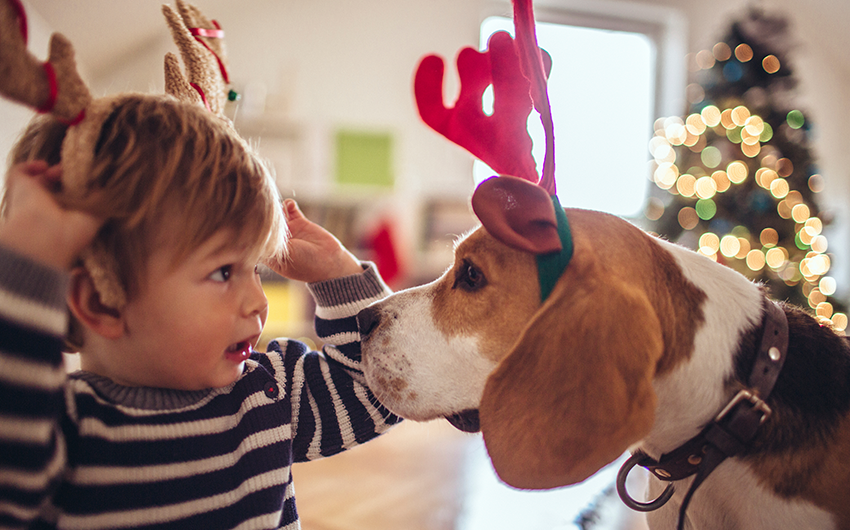 7 Holiday Foods NOT to Feed Pets