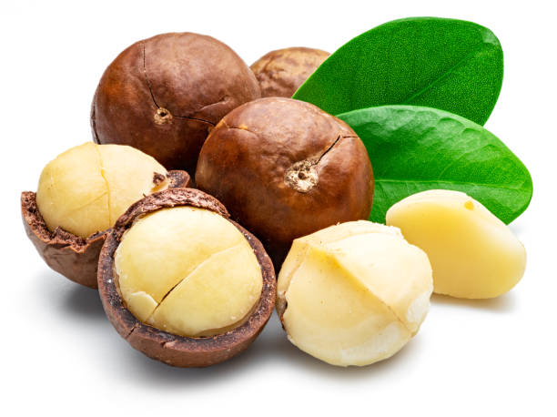 Macadamia nuts with peeled macadamia and leaves isolated on a white background.