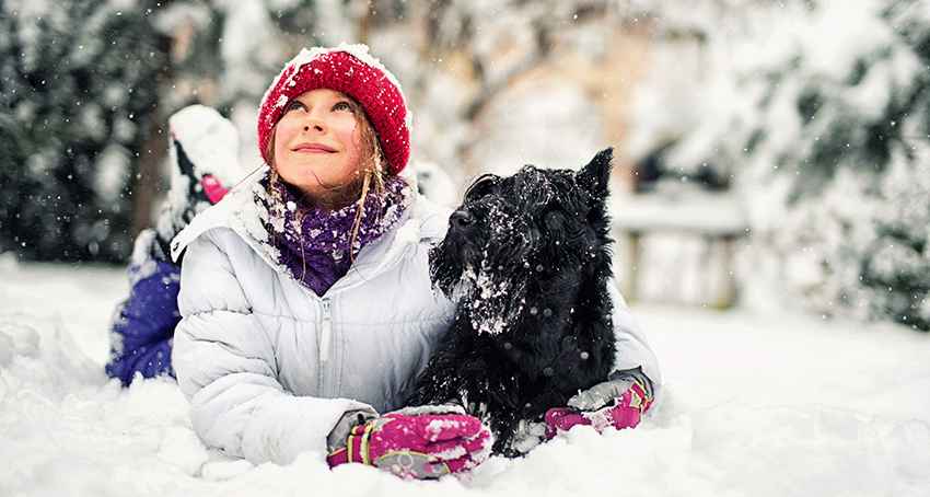 The Winter Forecast Calls for Pet Safety. Are You Prepared?