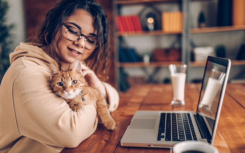 How to Officially Un-Stink Your Pet Service Facebook Page