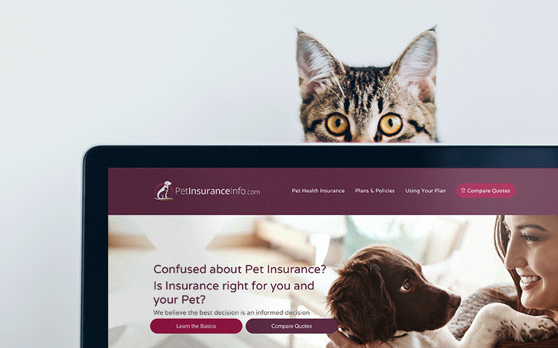 Exciting New Updates to PetInsuranceInfo.com