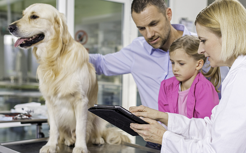 What California’s New Pet Medication Compliance Law Means for Your Practice