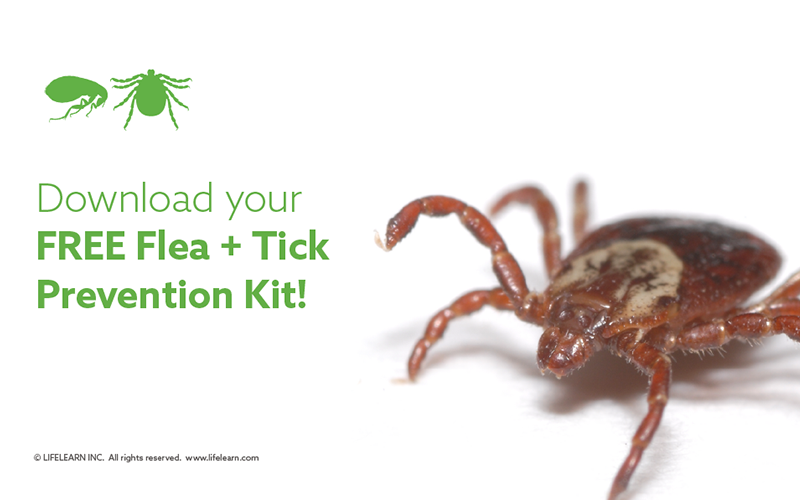 Download a Free Flea and Tick Prevention Kit for Dogs