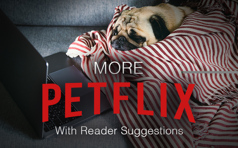 Friday Fun Blog: More Petflix (With Reader Suggestions!)