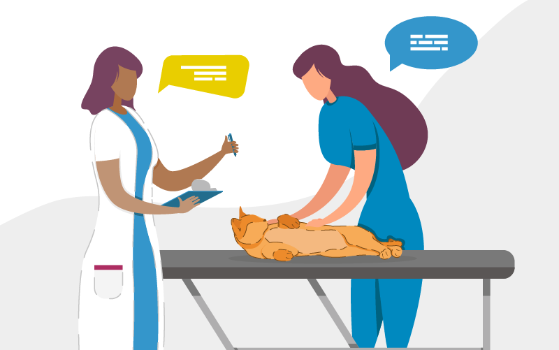 Download Your Free Pet Insurance Education Kit