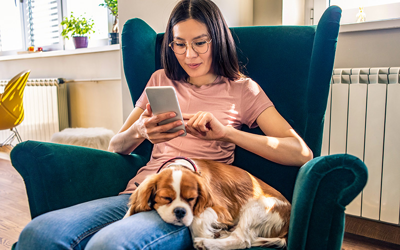 3 Telemedicine Myths That Many Veterinary Practices Still Believe