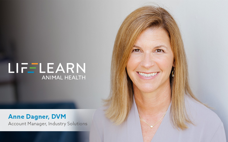 Veterinarian and Industry Consultant Anne Dagner, DVM, Joins LifeLearn Industry Solutions