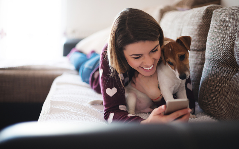 Help Clients Make Better Pet Health Decisions with Education-Based Marketing