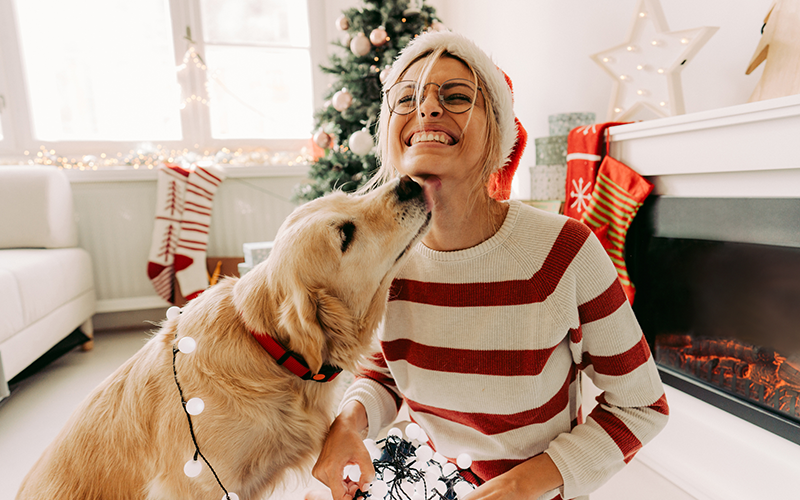 5 Tips to Help Keep Your Pets Safe This Holiday Season