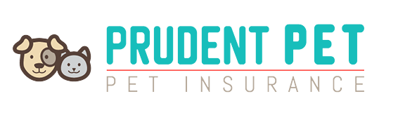 prudent pet insurance