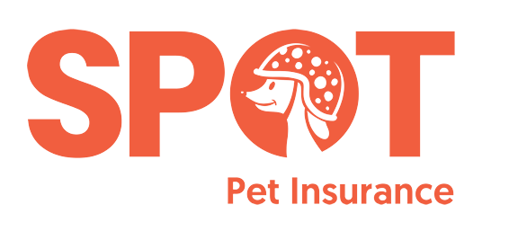 Spot pet insurance
