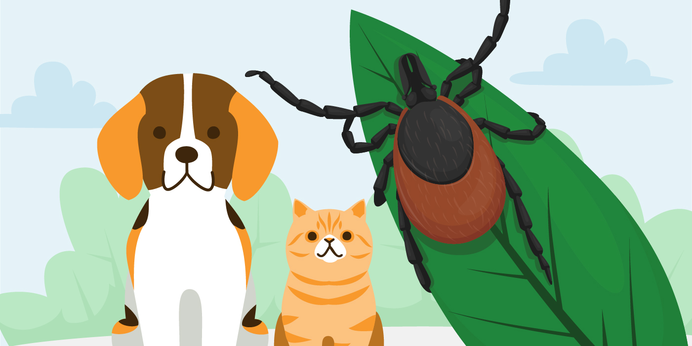 Download Our Free Flea & Tick Awareness Kit