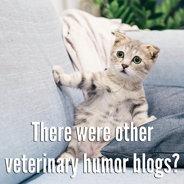veterinary humor