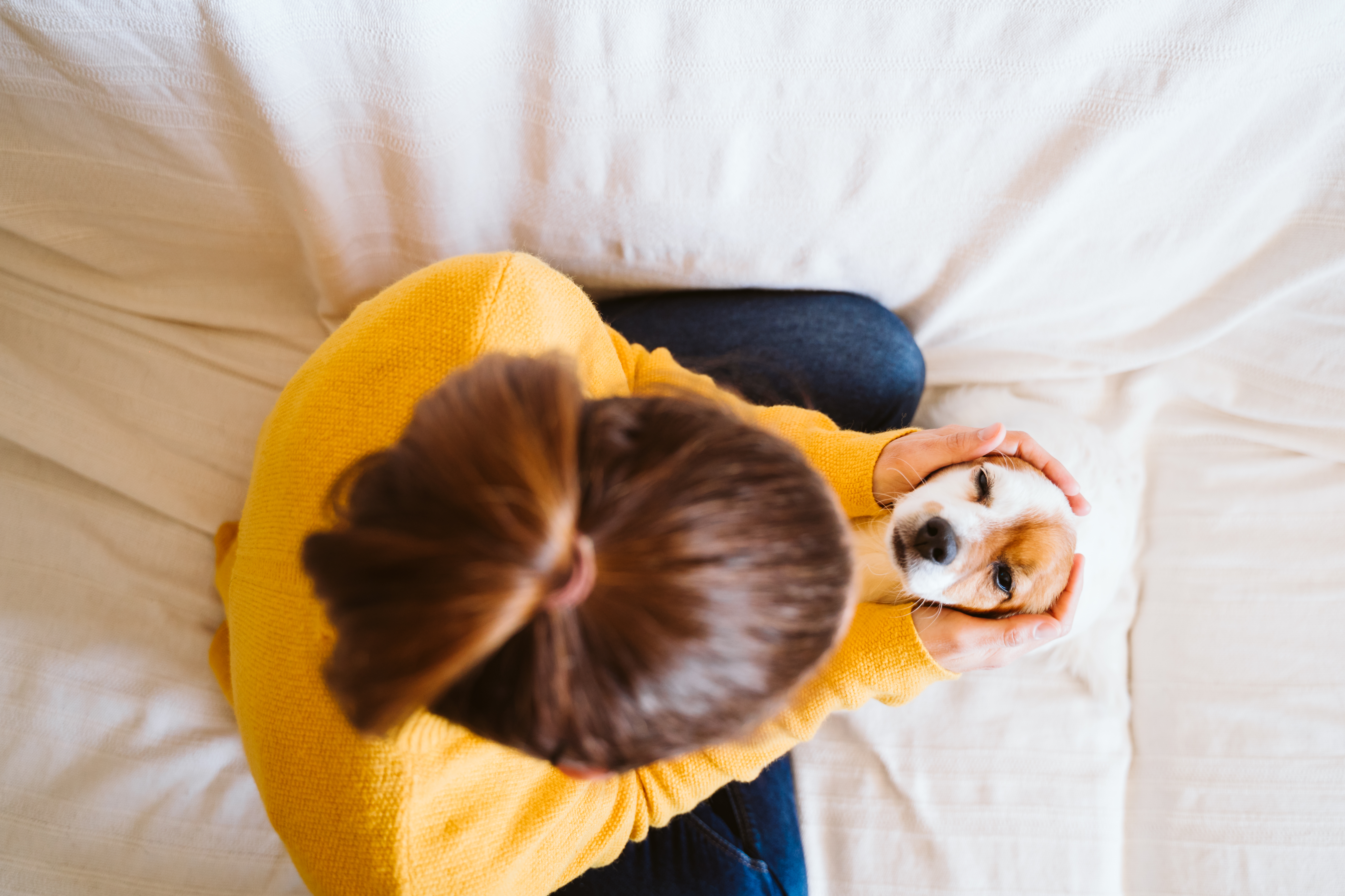 young woman hugging her cute small dog at home, sitting on the couch, wearing protective mask. Stay home concept during coronavirus covid-2019