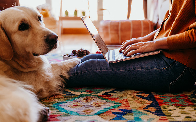 More People Now Feel Telemedicine Is as Good as an In-Clinic Visit