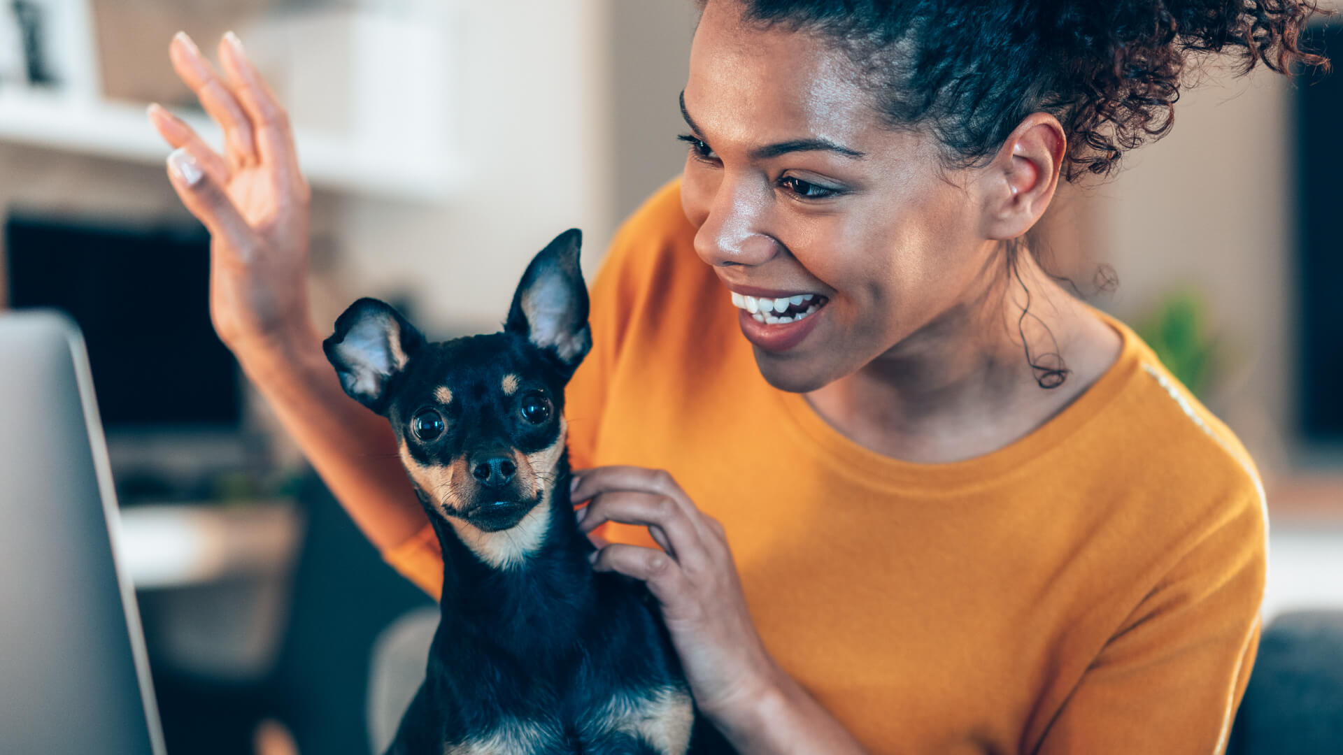 pet to work remote