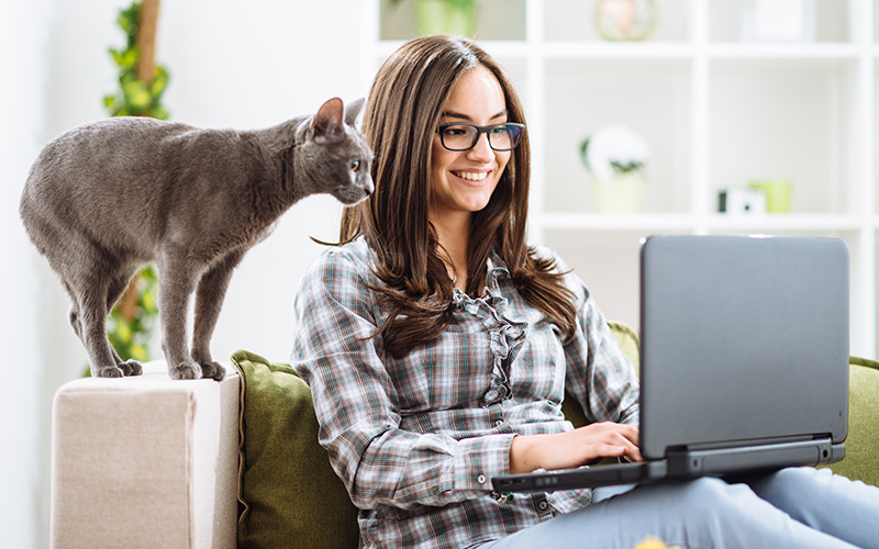 woman looking at laptop with a cat. Industry presentations