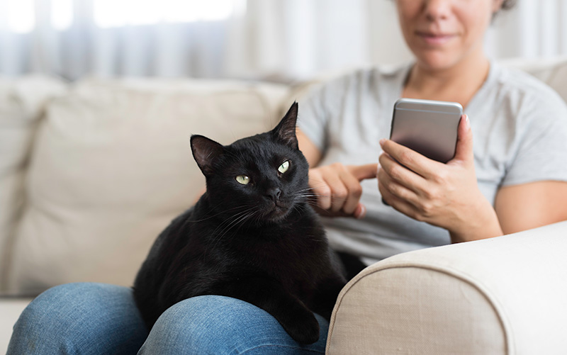 Pet Owners Open to Telephone Triage (They Know the Risks of Dr. Google)