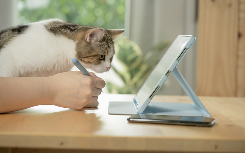 Fears of Unmasking Support Continued Veterinary Telemedicine and Curbside