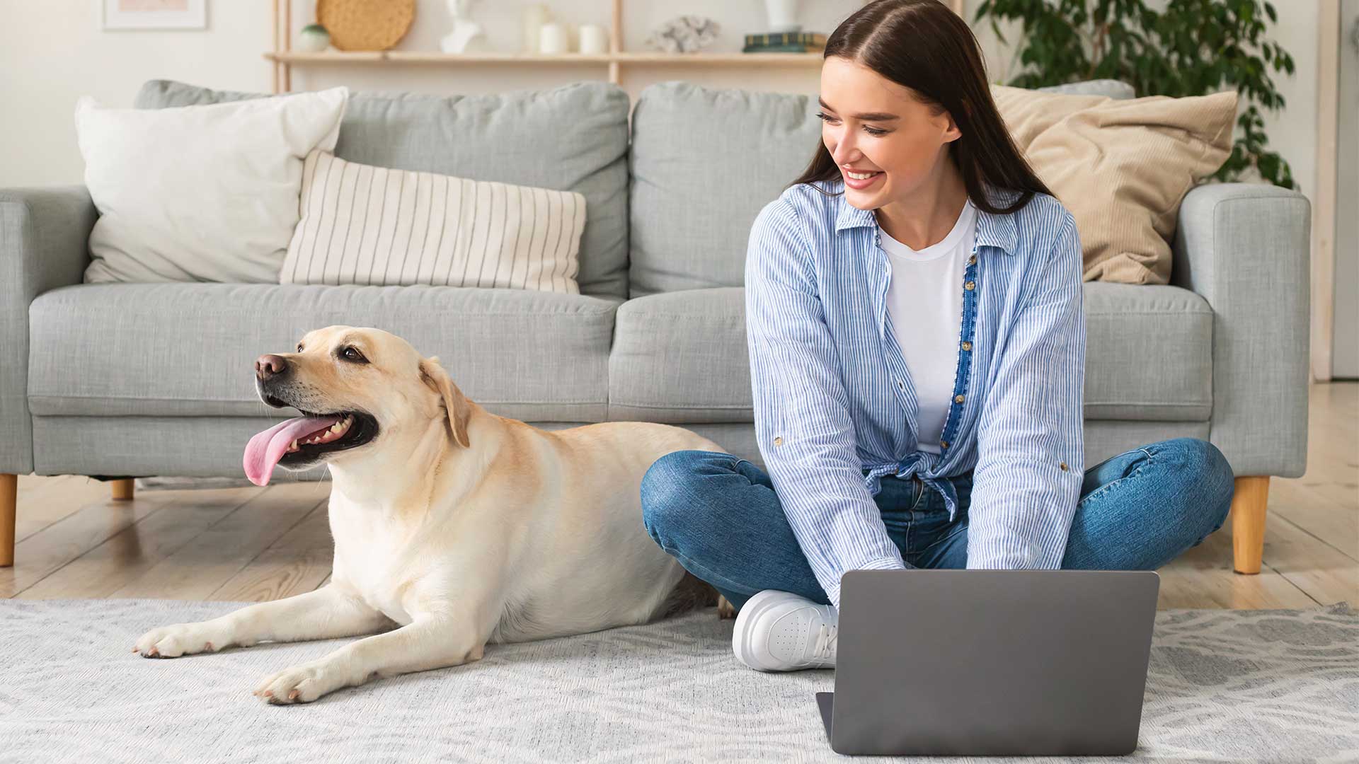 Social-Media-Management-Dog-laptop-header